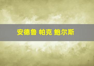 安德鲁 帕克 鲍尔斯